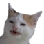 emodotcom