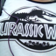 lilacarchers