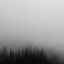 lynxrufusthing-blog