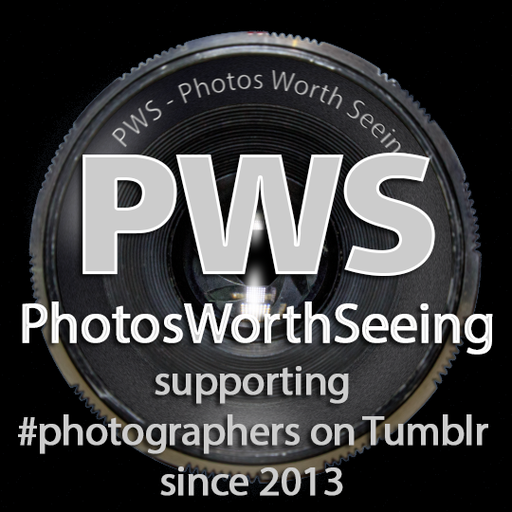 photosworthseeing:bakerstreetirregularr-deactivat:@bakerstreetirregularr porn pictures