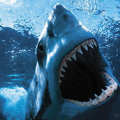 Porn villainoustyrrany:  a-real-life-shark:  “Wow, photos