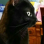emo-kittens21