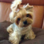 ispeakforgirlsforever-blog