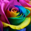 musicalwoman1-blog