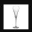 its-champagne-girl