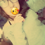 yesjhesicaus
