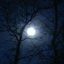 nbwerewolflover