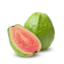 haloheliac