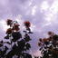 letsbelievestaystrongblr-blog