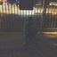jays-illest-blog