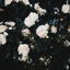 luciaholbrook-blog