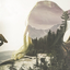 wild-for-wanderlust