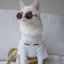 rinnyishere-blog