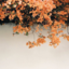 annxxxiety-blog
