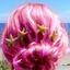 glitterendsomemermaids-blog