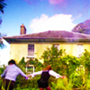 xxgoldie12xx:  For everyone who reblogs this, the first word I think of when I