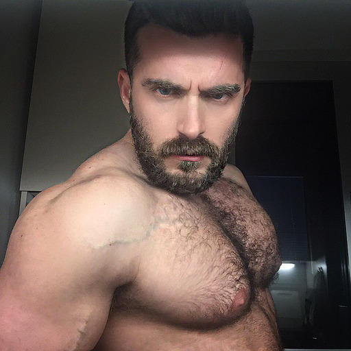 HAIRY GAY BEARPORN