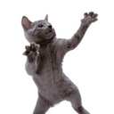 thecatwhocantdance avatar