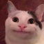 ohnuggetgod