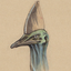 brandonvoong-blog