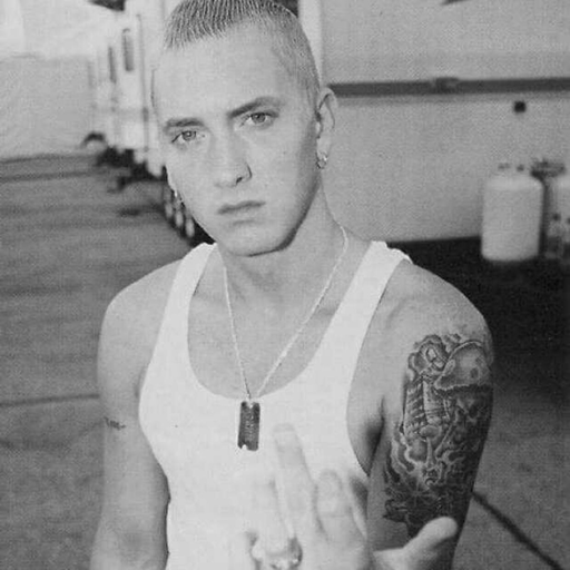 Ich bin Eminem, du Stan