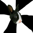 fyeahroleplayingrabbit:   