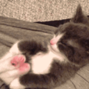 Thebabyanimals:  Babyanimalposts:  Thebabyanimals:  Beautiful Blog Full Of Baby