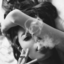 youbelongtomenow
