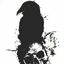 sh4ckles-25