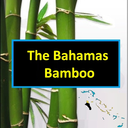 bahamasbamboo avatar