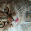 littlemissliddell