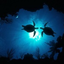 2oceans2worlds