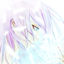 zeodyme