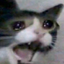 sou-jun