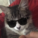 NIK