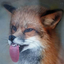 captainoddfox