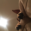 shitstaincharlie-blog