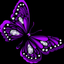 ladychi22
