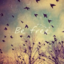 blueeeskyyy-blog1