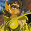 phoenix06125891