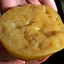 scobyblog