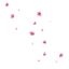 theslowlossmovement