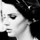 queenmargay-blog avatar