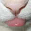 sourmilkmilk