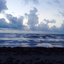 wanderingelephanteee