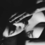 d4mngerl-blog