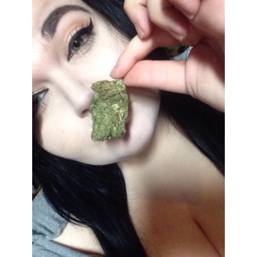 hxrdcre:  Ya know, I’m all about peace but  if you fuck me