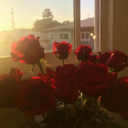 inlovesuggestions:  you opened a whole new world up to me