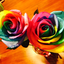 colorfullroses