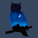 randomnightowl avatar